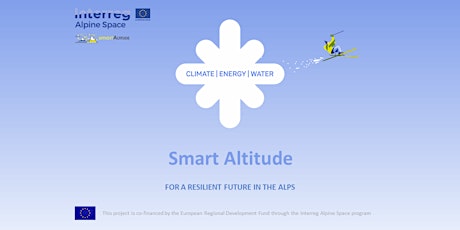 Hauptbild für Smart Altitude Webinar #4 - Smart Grid
