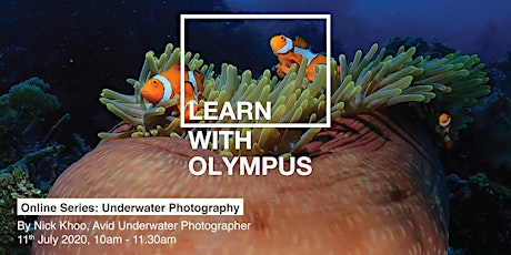 Learn With Olympus - Underwater Photography primary image