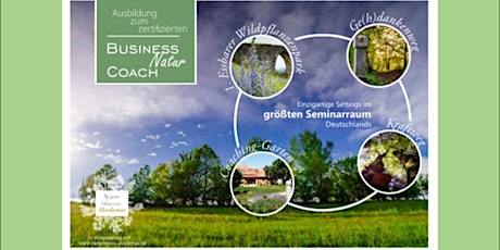 Business-Natur-Coach - Teil 1 Sprout  primärbild