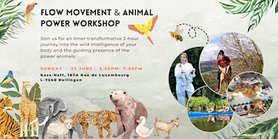 Reconnect with Your Wild Side: Flow Movement & Animal Power Workshop primary image