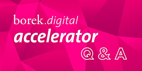 Hauptbild für Q&A borek.digital Accelerator-Bewerbung