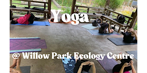 Image principale de Yoga Under Trees