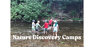 Image principale de Nature Discovery Camps for Kids