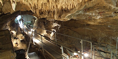 Primaire afbeelding van Visite guidée de la Grotte Scladina