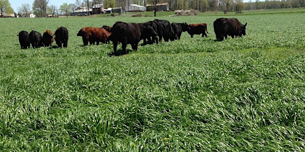 WKY Summer Forage Field Day 2020 - GENERAL ADMISSION AND SPONSORSHIP