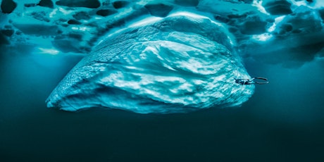 TAUCHEN-Webinar: So machen Sie bessere Fotos unter Wasser - on demand