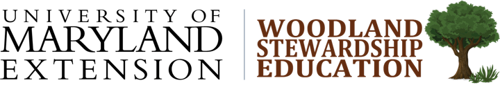The Woods in Your Backyard online course image