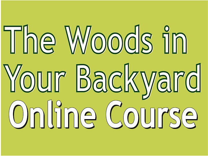 The Woods in Your Backyard online course image