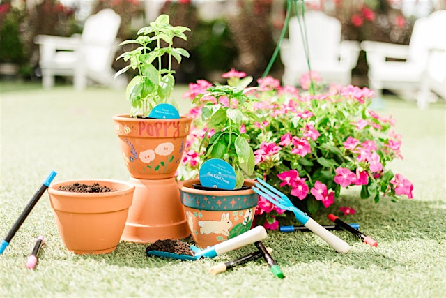 Image principale de Kid's Workshop: Paint Pot & Plant