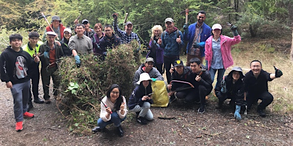 Friends of McAulay Reserve Working Bee - August 2020