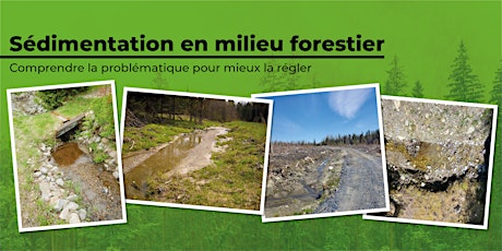 Formation sur la problématique de la sédimentation en milieu forestier primary image
