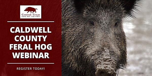 Caldwell County Feral Hog Webinar