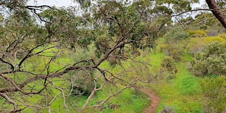 Womens Fundraising Hike - Loop 2 primary image