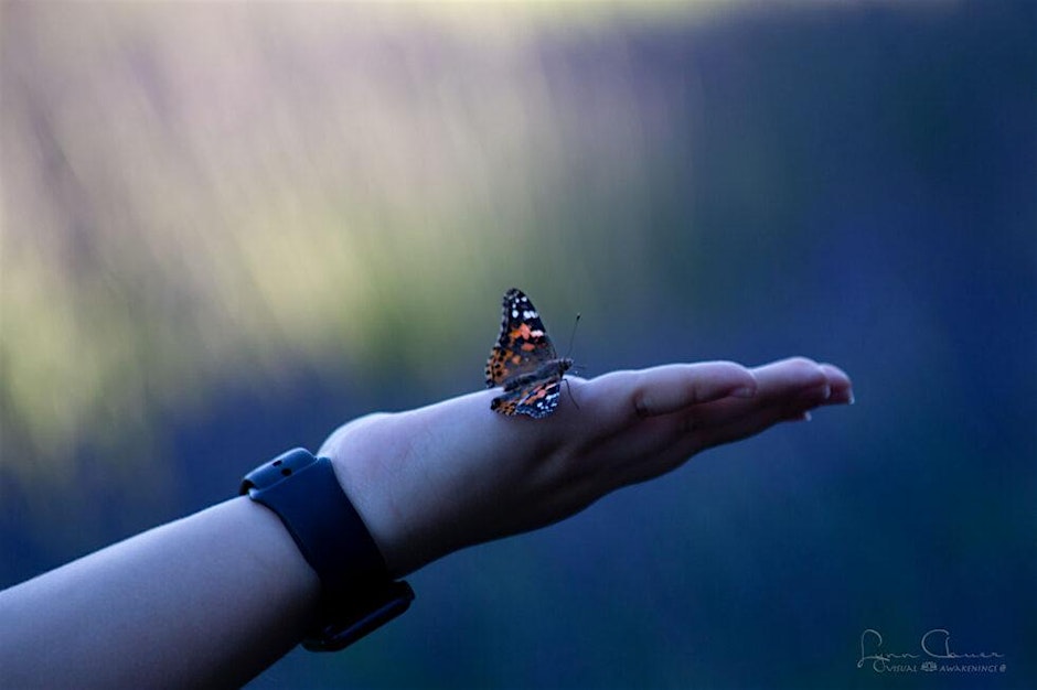 Butterfly Release