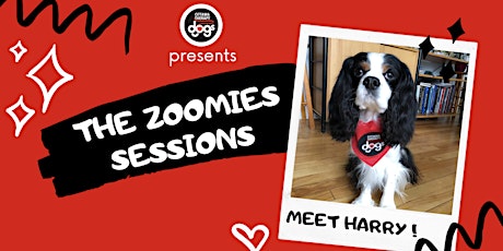 Ottawa Therapy Dogs Presents - "The  Zoomies Sessions" - Meet Harry ! primary image