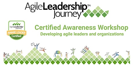 Online Agile Leadership Awareness Workshop October19 - November 13, 2020 primary image