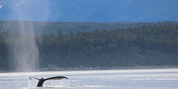 Whale Acoustics Webinar from the Gulf of Alaska