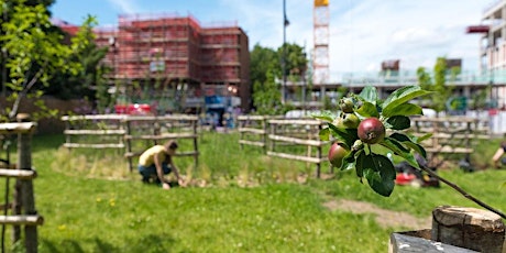 Brixton Orchard Volunteer Session