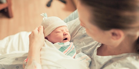 Childbirth Prep Private Session (Online)