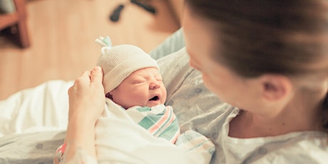 Childbirth Prep In-Depth: 4 sessions (Online)