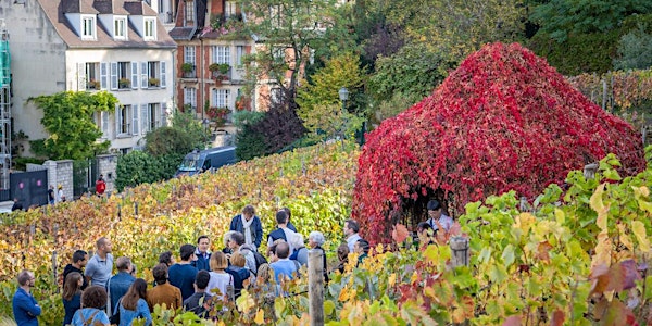 Visite de la vigne du Clos Montmartre