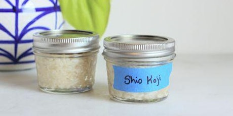 Making and Using Shio Koji: Umami Magic in a Japanese Fermented Marinade