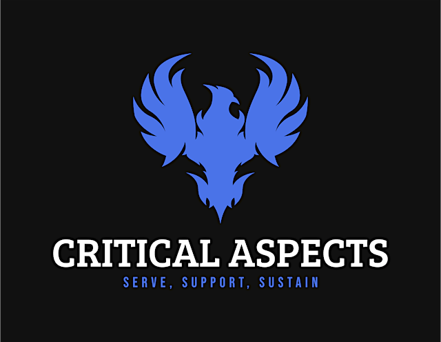 Image principale de Critical Aspects 2nd Annual Appreciation Night