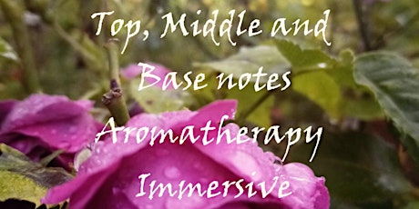 Top Middle and Base Notes: Aromatherapy Immersive primary image