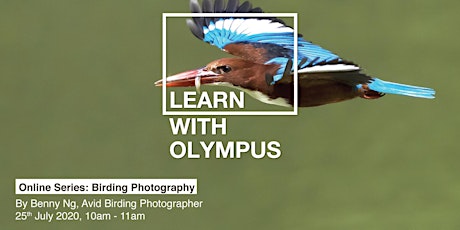 Learn With Olympus - Bird Photography primary image
