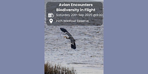 Image principale de Green Guardians: Avian Encounters, Biodiversity In Flight