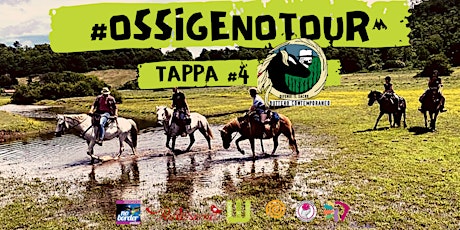Immagine principale di #OssigenoTour | Tappa #4 - Villaggio del Buttero Contemporaneo 