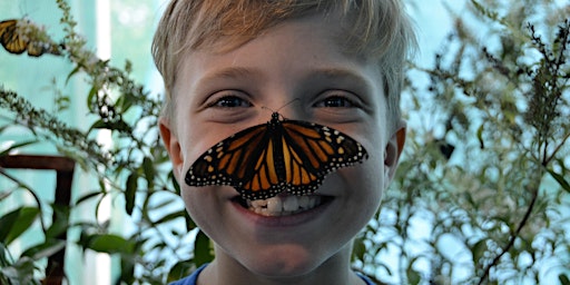 Image principale de 2025 Kiwanis Butterfly Festival in Keller (Previously Southlake)