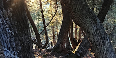 Guided Hike at George Crosby Manitou State Park