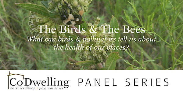 "The Birds & the Bees" Panel Discussion