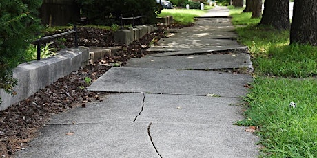 Designing Urban Rights-of-Way to Prevent Damage from Tree Roots primary image