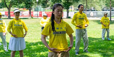 Free Falun Dafa meditation online teaching