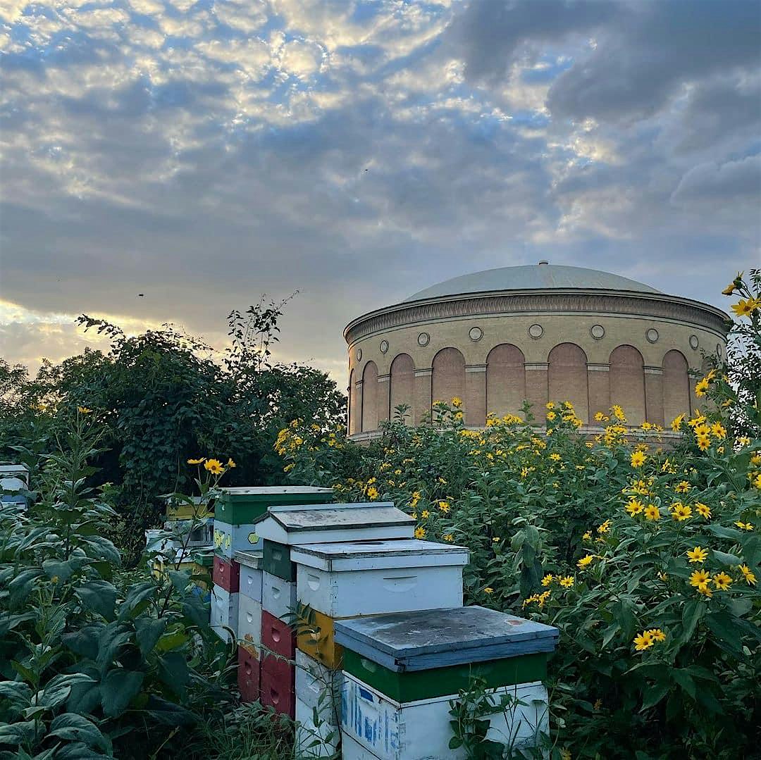 Composting 101 at Filbert Street Garden