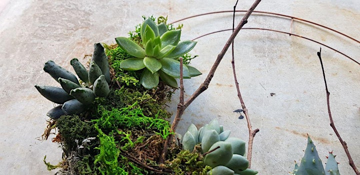 Living wreath making with succulents image