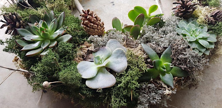 Living wreath making with succulents image