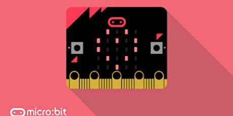 Code a Game with micro:bits  (Ages 9 -12 years) primary image