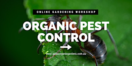 Online Workshop: Organic Pest Control primary image