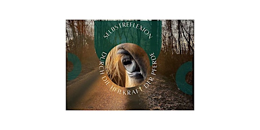 Image principale de SELBSTREFLEKTION MIT PFERDEN