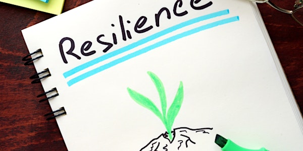 Resilience in Entrepreneurs