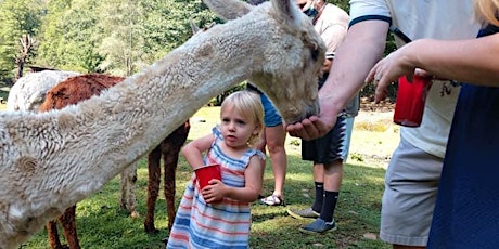 Sunday, September 13th, 2020 Alpaca Farm Visit
