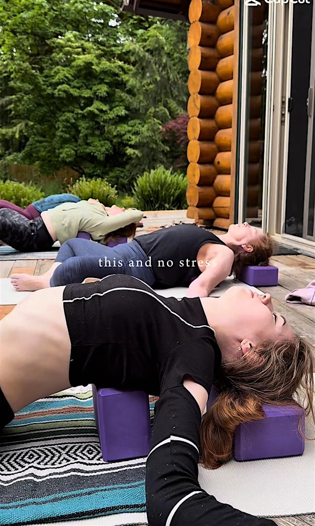 Imagem principal de Vinyasa+ Holistic Yoga Movement