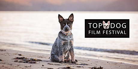 Top Dog Film Festival - Brisbane Fri 18 Sept 2020 primary image