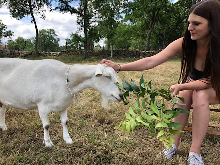GOATSTOCK: Cheese, Live Music and Wine Festival Tickets, Sat, Sep 11, 2021 at 12:00 PM | Eventbrite