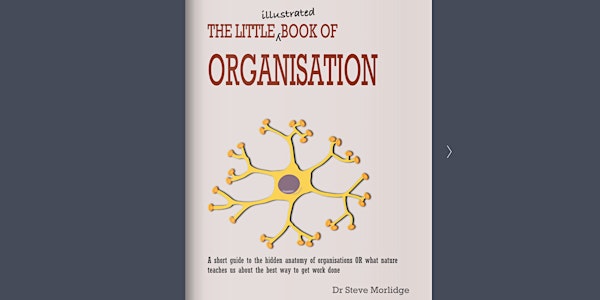 Systems Thinking Study club - “A little illustrated book of Organization"