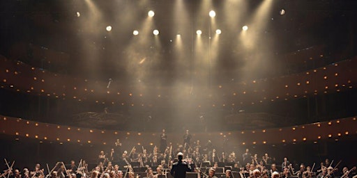 Image principale de Discover. Your path. - Western Balkans Youth Orchestra on tour 2025