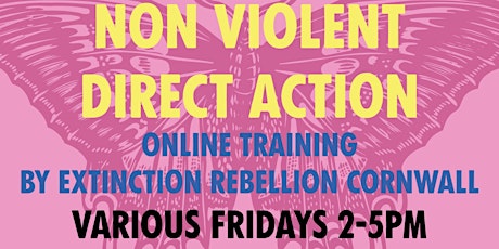 Non-Violent Direct Action (NVDA) training (Fridays 2pm) primary image